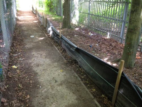 reptile exclusion fencing at a mitigation project in Tunbridge Wells