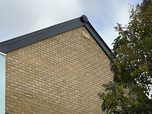 Swift box installation