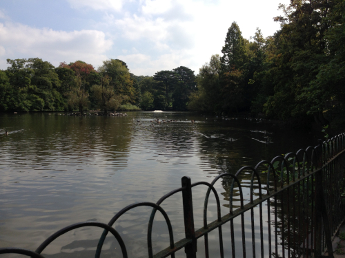 Mary Stevens parkland lake management