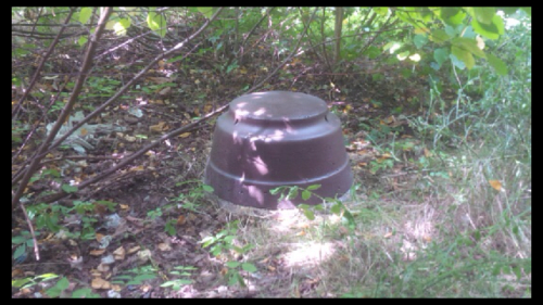 Midlands Health Centre Hedge-hog Dome