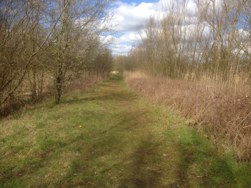 Norlands habitat survey